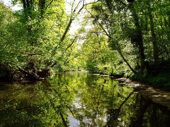 ALT"Flusslandschaft"